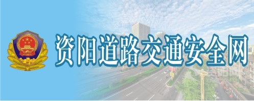 大鸡吧搞美女批资阳道路交通安全网